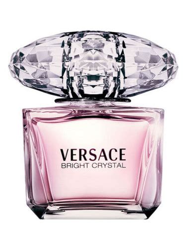 versace rose|versace rose perfume.